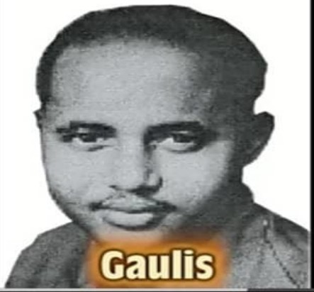 Hassan Gaulis