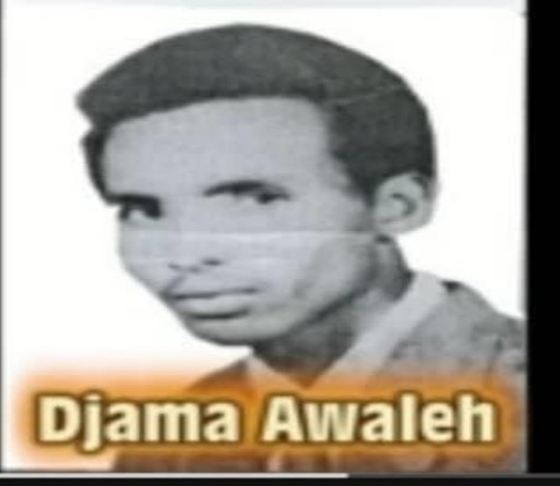  Salah Djama Awaleh